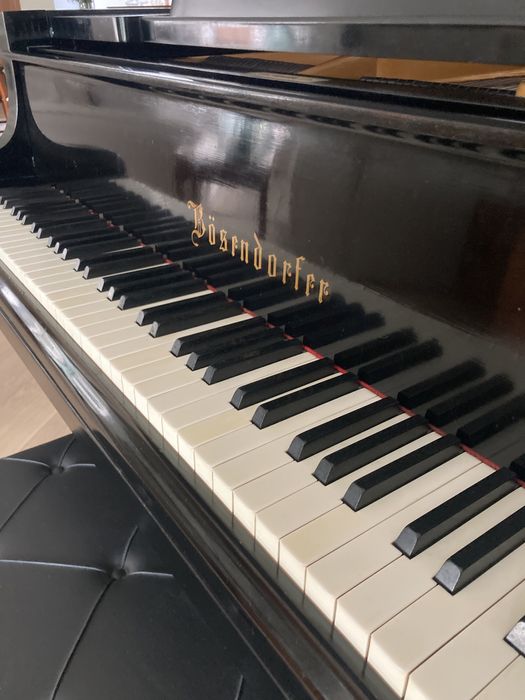 Piano de Cauda Bosendorfer