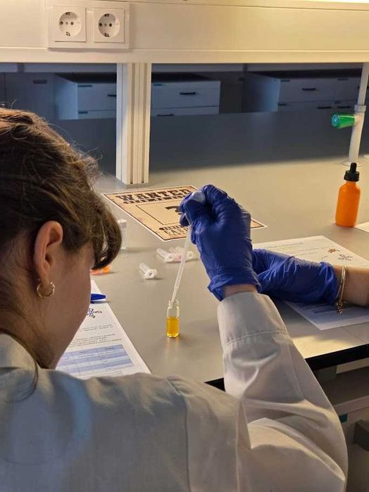 Explicações de Física, Química e Biologia (Básico, Secundário e Faculdade) | Estudante de Bioquímica FCUP/ICBAS (Universidade do Porto)