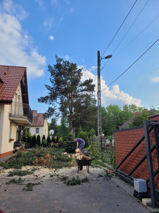Wycinka drzew, koszenie trawy