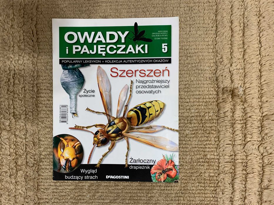 Prawdziwe owady i pajęczaki - gazetka nr 5 z kolekcji - szerszeń