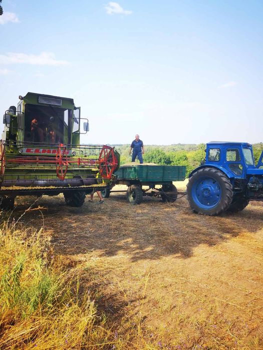 Продам трудягу Трактор Т-40