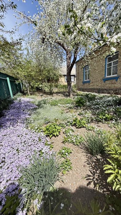 House in Kaharlyk - Вид 3