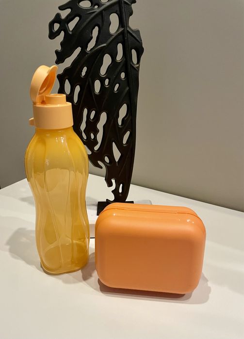 Ecogarrafas crianças tupperware