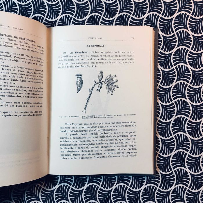 Compêndio de Zoologia - Augusto C. G. Soeiro