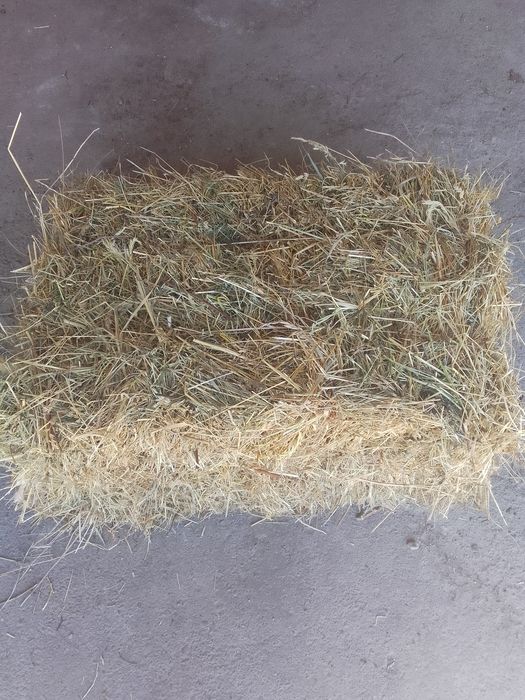 Продам тюки пшеничні