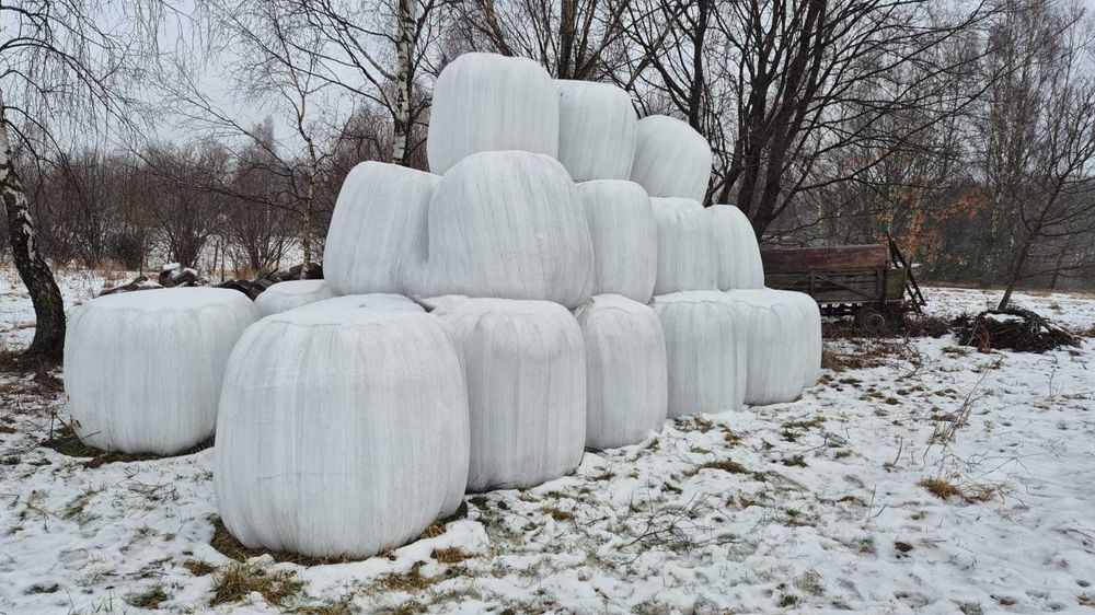 Sianokiszonka Zbiór 2025, baloty