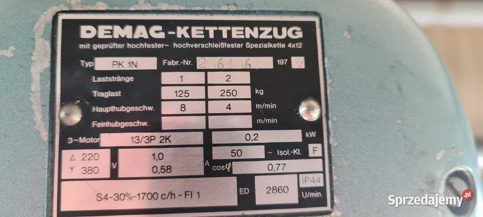 Elektrowciąg Demag wciągarka 250 kg