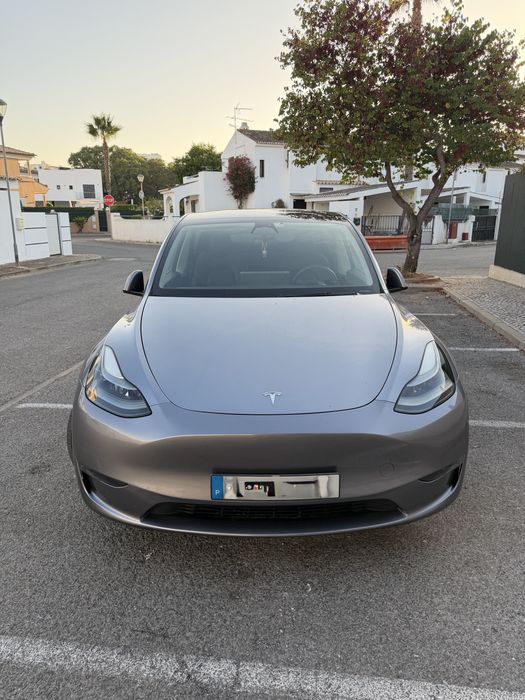 Tesla model Y performance