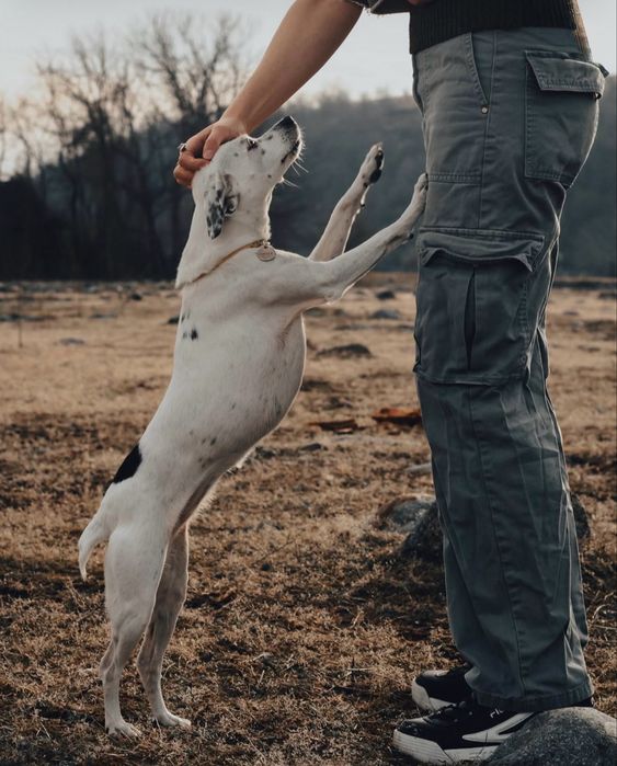 Canon M200 15-45mm stm