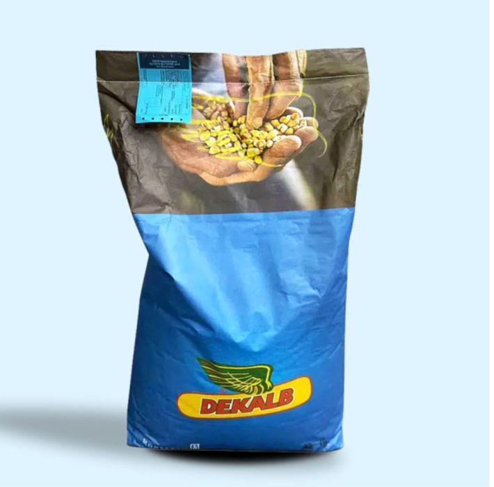 Насіння кукурузди ДКС 4590 WX ФАО 360 Монсанто Декалб