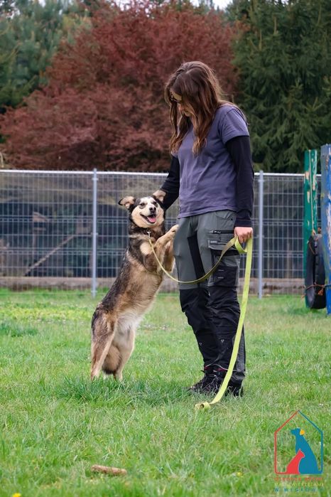 Furcia 165/23 - SZUKA DOMU!