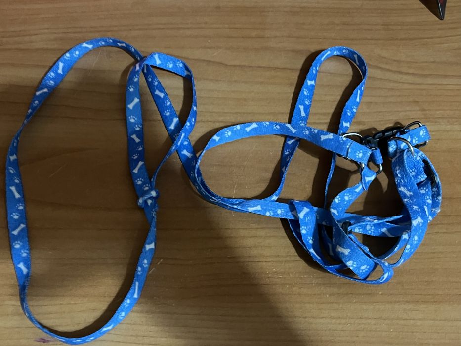 Шлейка для маленькой собаки шлейка для кота