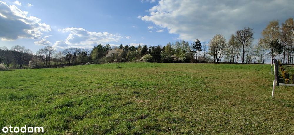 Widokowa działka budowlana na wzniesieniu, w pobliżu lasu - Widok 5