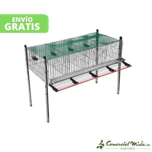 Gaiola codernizes