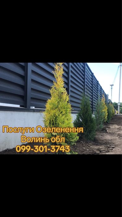 Косіння трави послуги озеленення