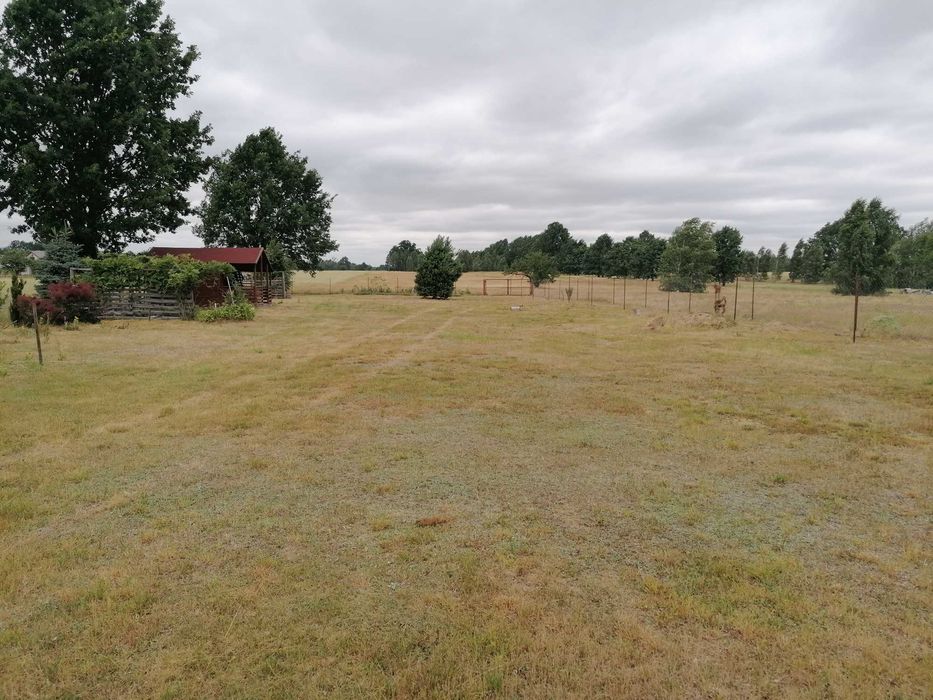 Działka z Warunkami Zabudowy | WZ | 11 664 m² | Aleksandrów | Jakubów | A2 | 290 000 zł