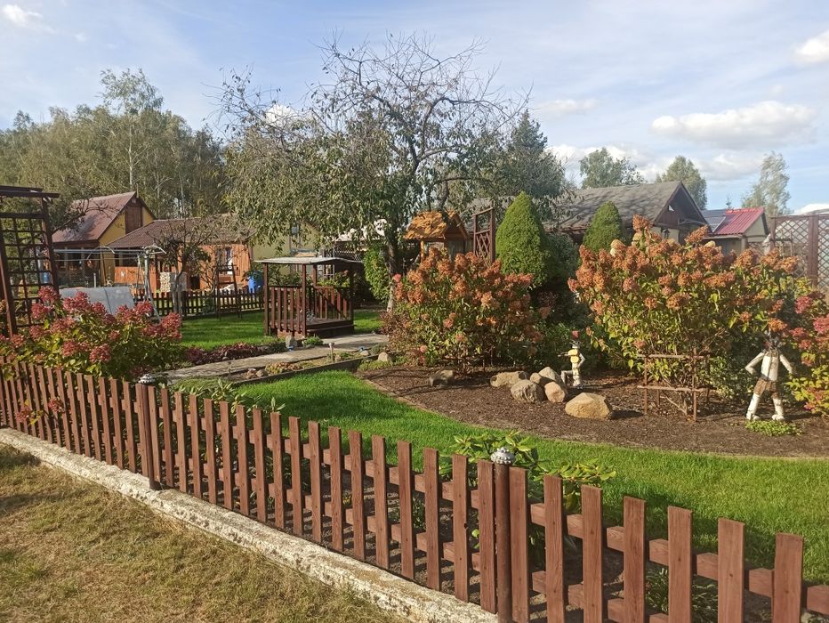 Działka ROD 40-lecia W.P.