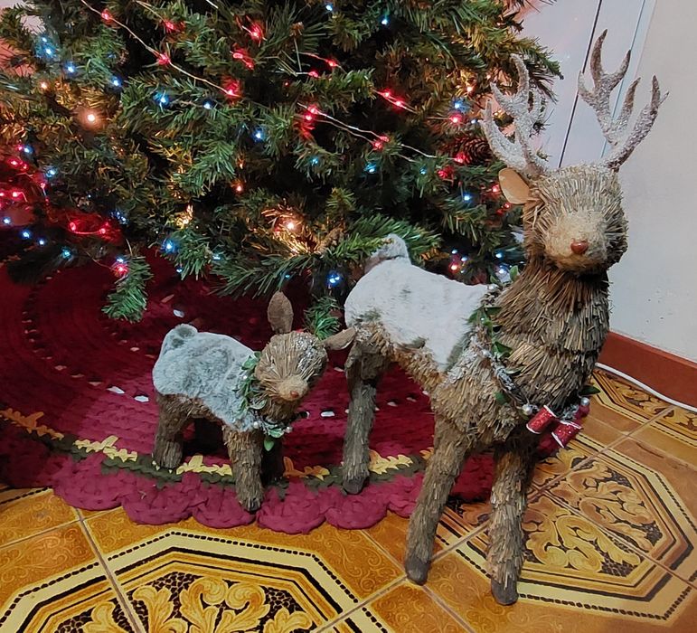 Renas para decoração de Natal