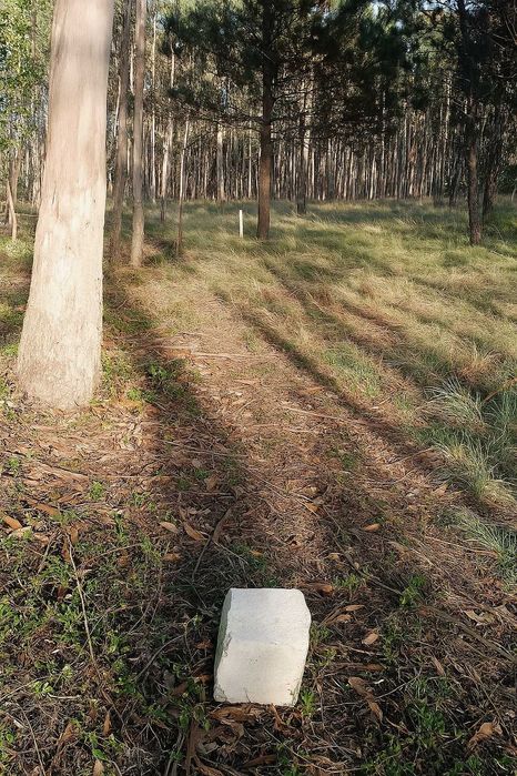 10 min da Praia do Salgado - Famalicão / Nazaré (Agricola) 7293m2