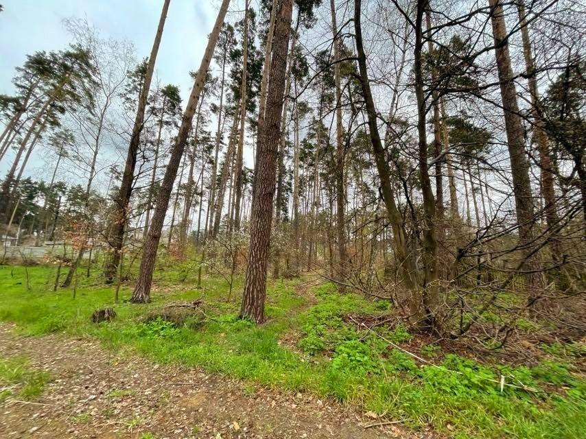 Ділянка  в Лісовій Бучі