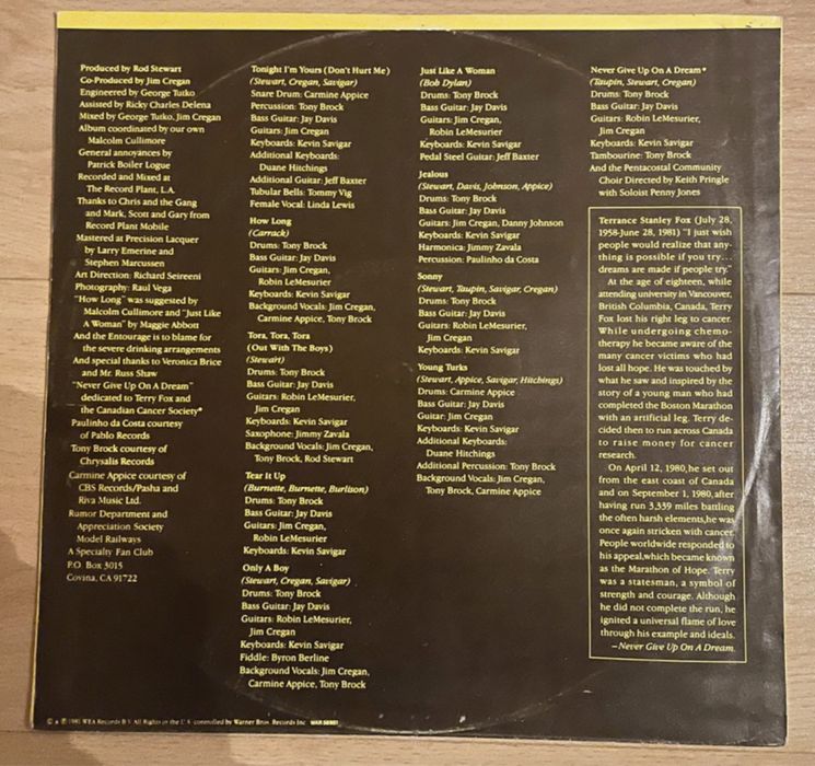 Rod Stewart - Tonight I’m Yours (LP vinil Portugal)