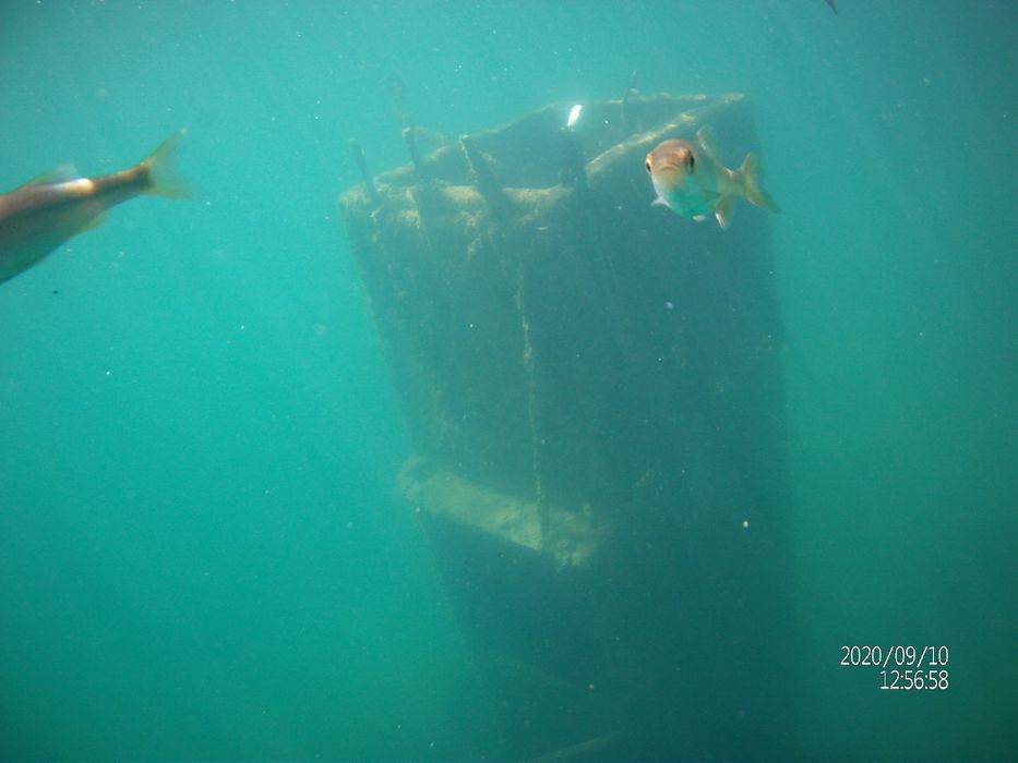 Услуги водолаза. Водолазні послуги. Водолаз дайвер ныряльщик.