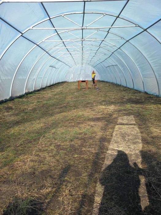 Продається домогосподарство у селі Вільшаниця (Івано-Франківська обл.)