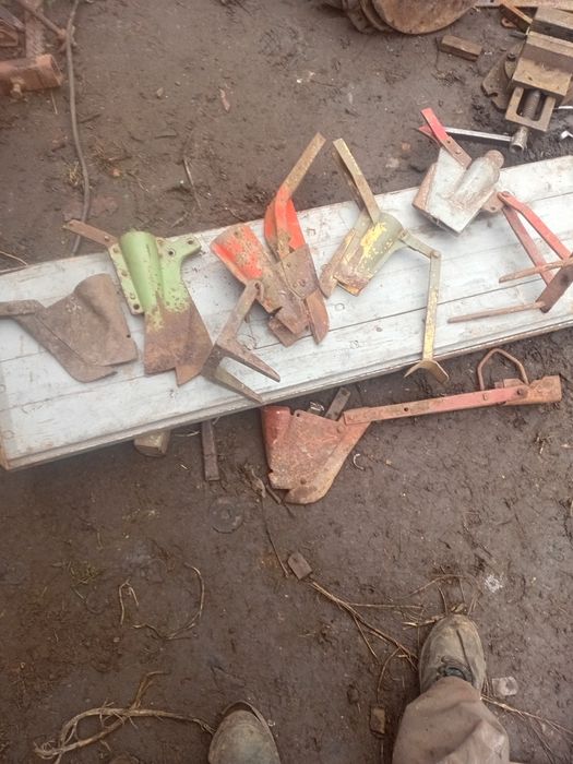 Сошник анкерний.