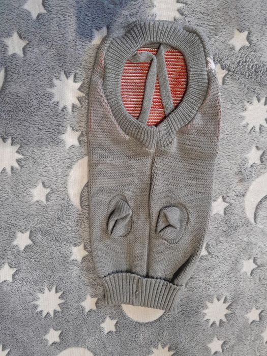 Одяг для улюбленця