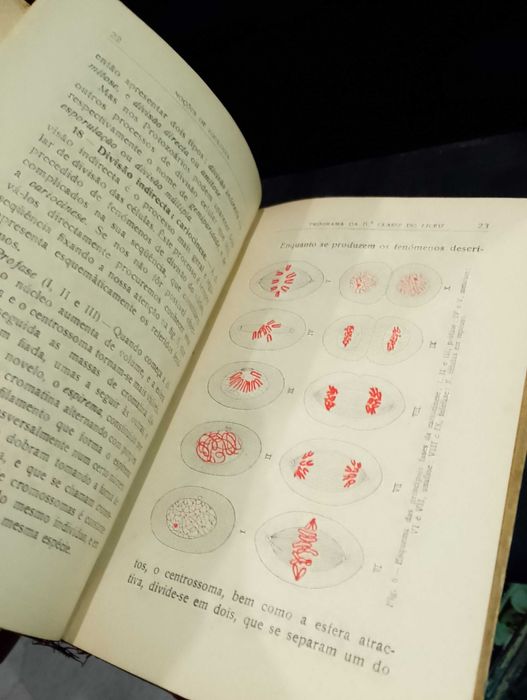 Noções de Zoologia - Augusto C. G. Soeiro (1933)