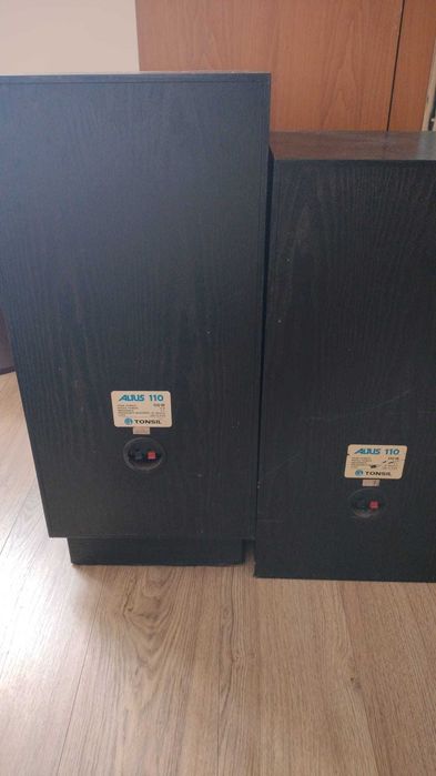 Kolumny Tonsil altus 110