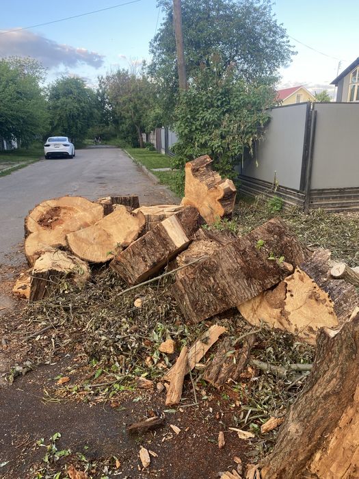 Дрова безкоштовно. Самовивіз