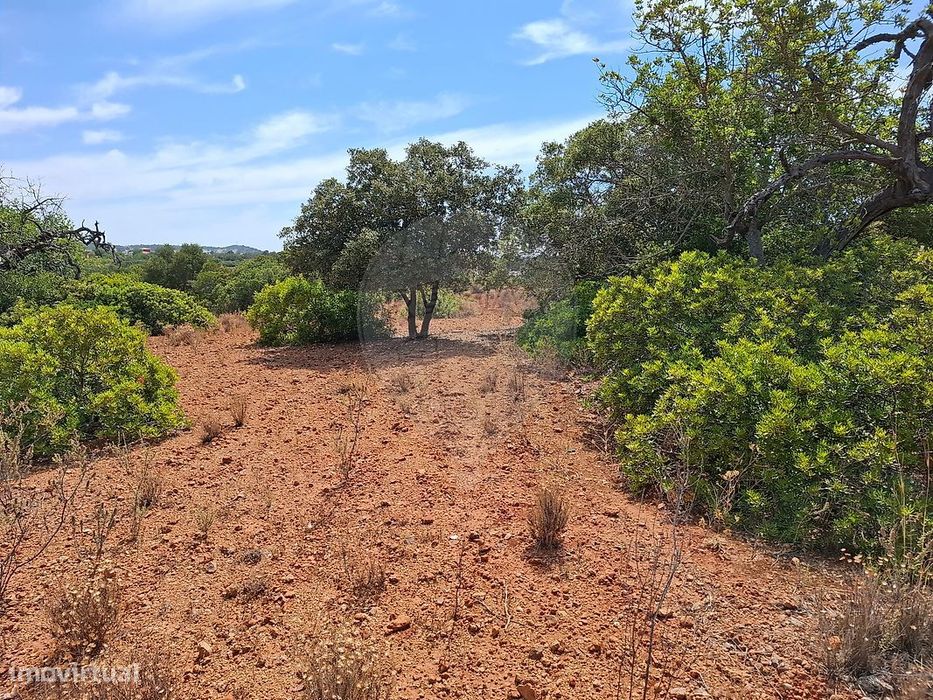 Terreno  para venda