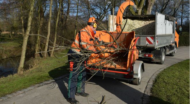 Wycinanie drzew, rozdrabniacz do gałęzi, frezowanie pni, podnośnik
