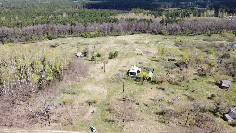 Будинок на хуторі, хвойний ліс, мальовниче місце.