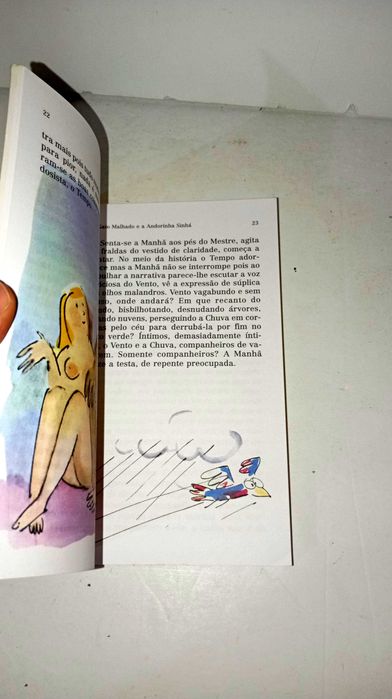 O Gato Malhado e a Andorinha Sinhá - Jorge Amado