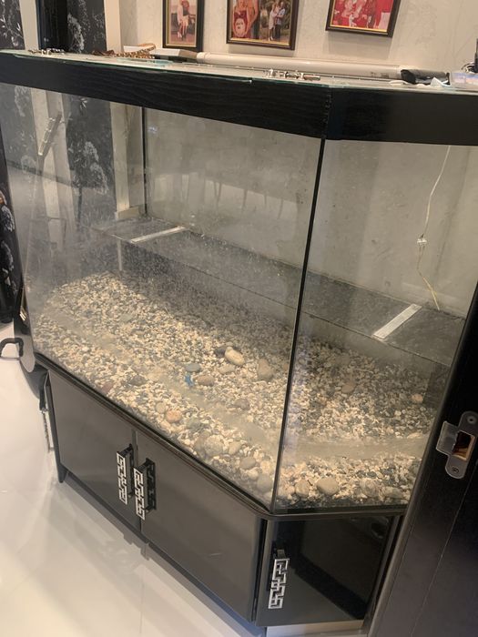 Терариум для рептиліі