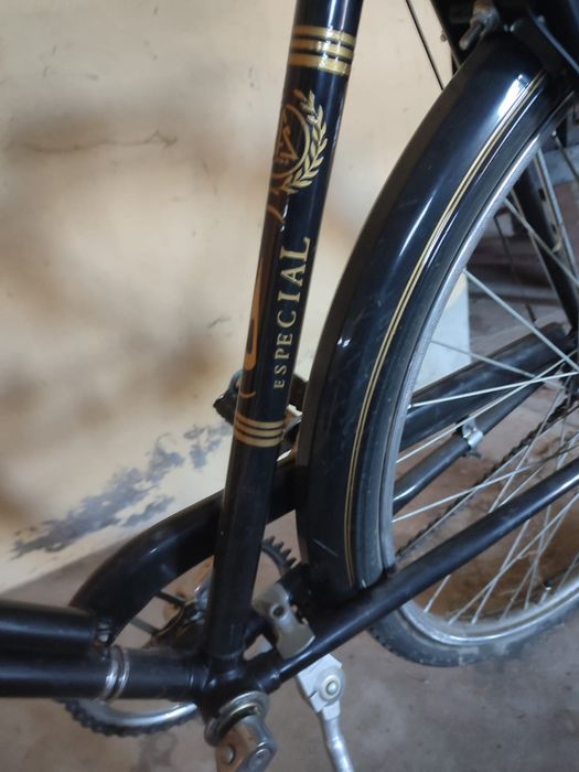 Bicicleta pasteleira EFS