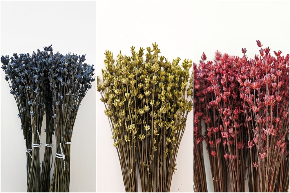 Ароматна стабілізована лаванда та лавандин