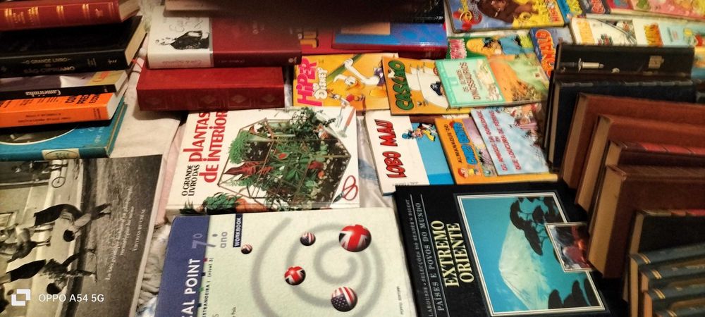 Diversos livros e enciclopédia