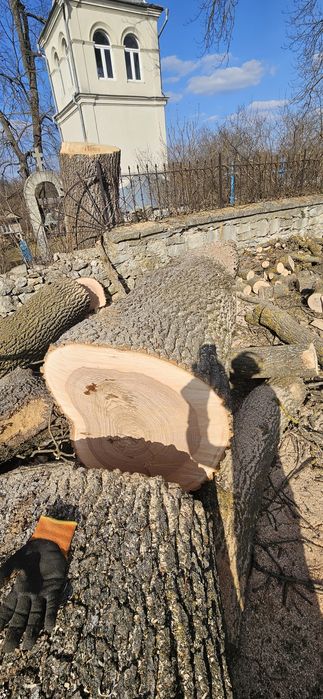 Продам слеби ясень, дошку, або кругляк 310см  діаметр  50-80см