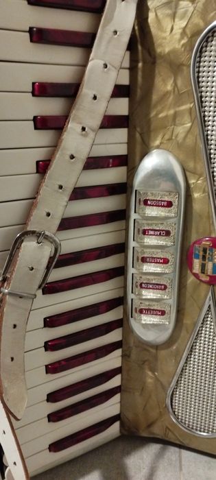 Akordeon Borsi Giowani