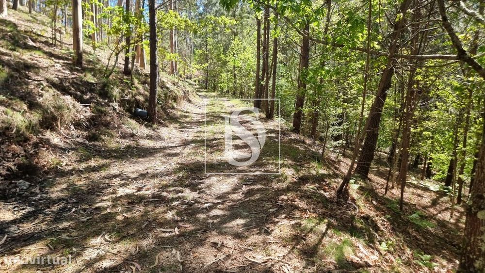 Terreno  Venda em Mosteiro,Vieira do Minho