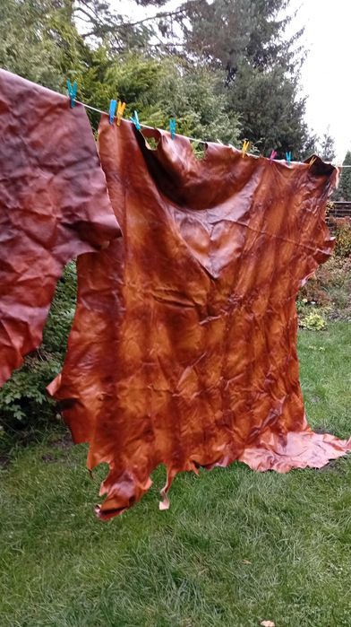 skóra naturalna w kolorze   brązu