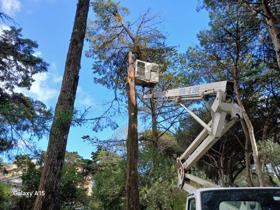 Limpezas Terrenos /Demolições/Escavações /