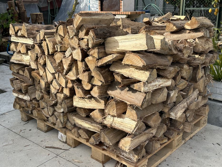 Todo tipo de lenha eucalipto