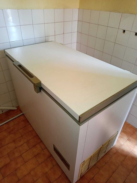 Lote de Frio: Arca Grande Bauknecht 305L + Frigorífico Snowcap (A Funcionar)