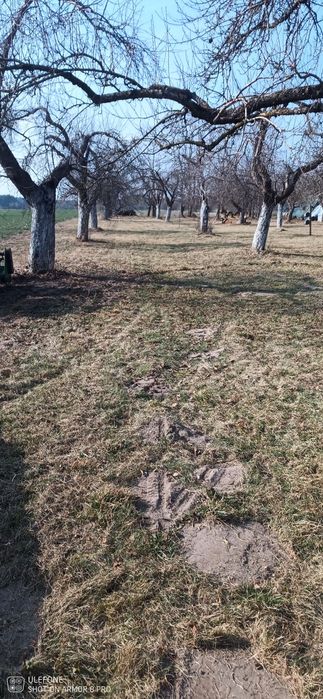 Podnosnik koszowy, czyszczenie działek ,prace ogrodowe.