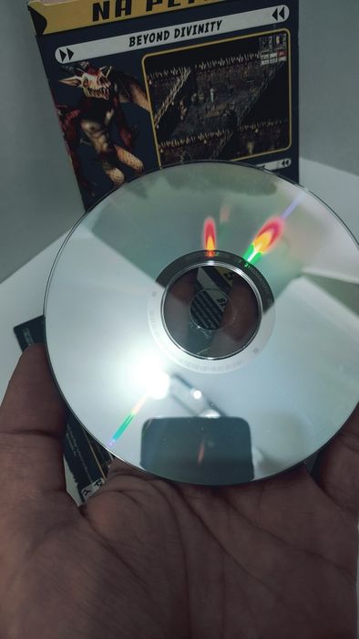 Beyond Divinity PC PL gra