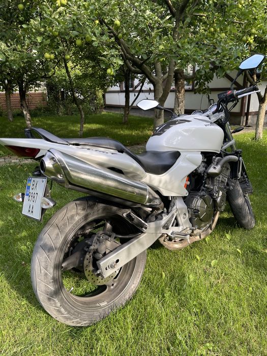 Хонда хорнет 600.